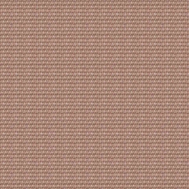 2025-11